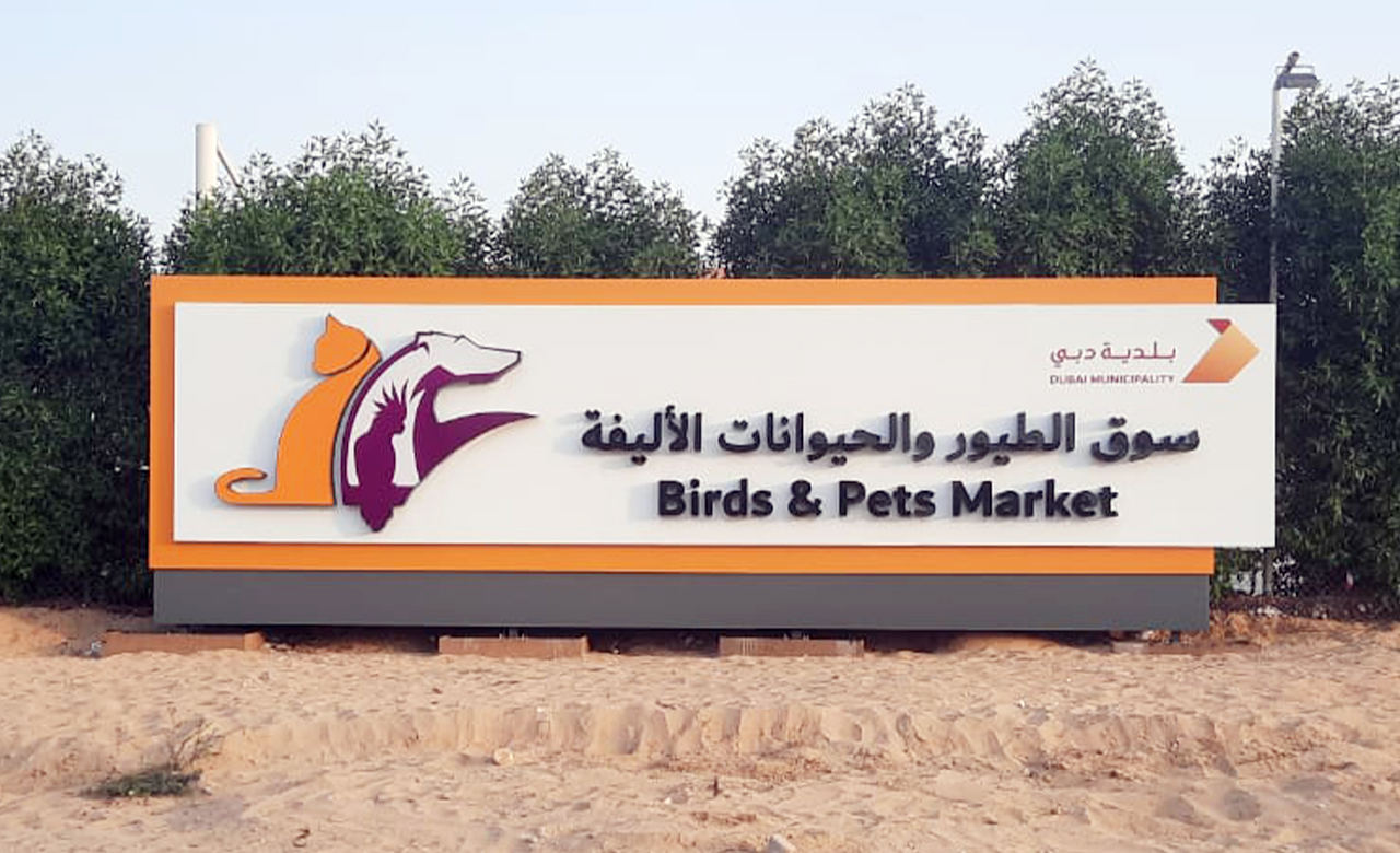 DM Birds Pets Market 1