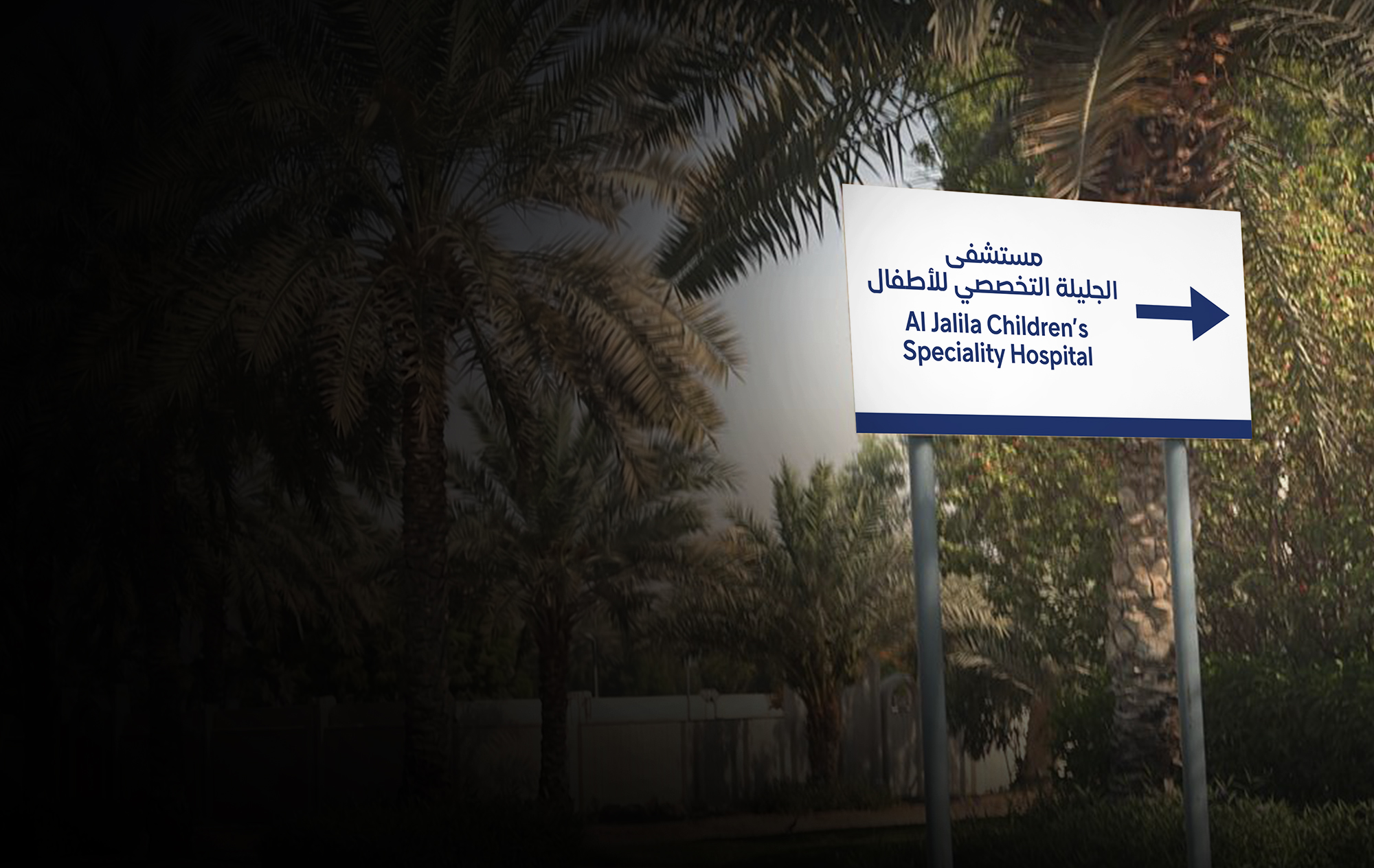 Dubai Health <br>Internal Signage & Wayfinding Systems