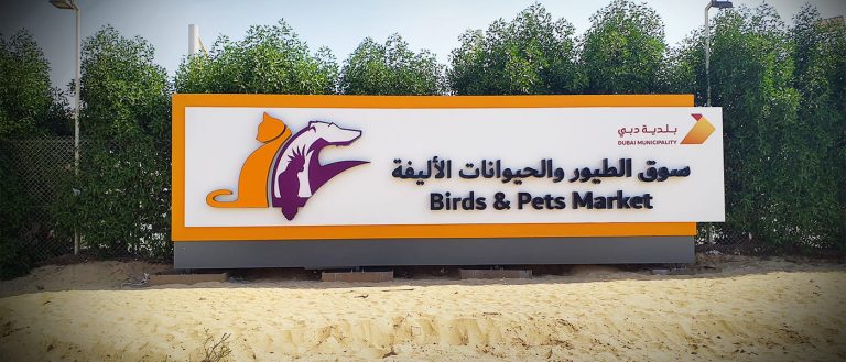 Dubai Safari Park <br>Wayfinding & Signage Systems