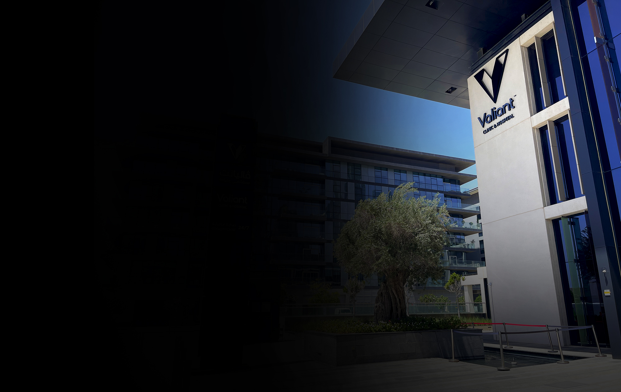 Valiant Clinic & Hospital <br>Premium Healthcare Branding & Wayfinding