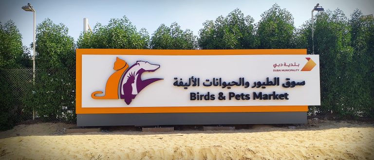 Dynamic Outdoor Signage & High-Impact External Branding